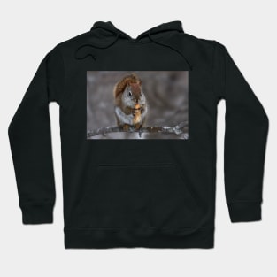 Squirrel with nut Hoodie